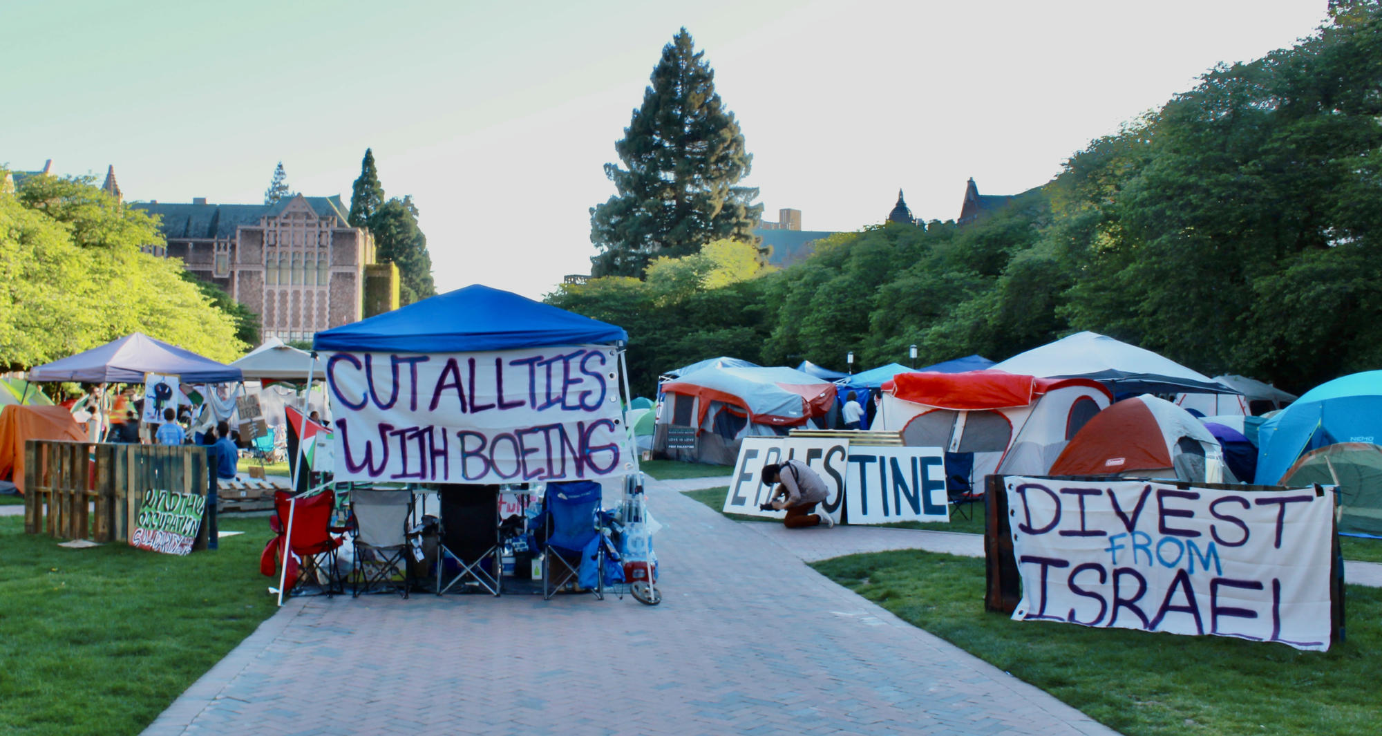 The encampment in support of Gaza at the University of Washington had grown to more than 100 protesters 