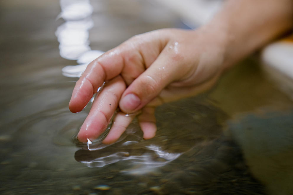 A hand hovering over water. A black speck appears on one finger