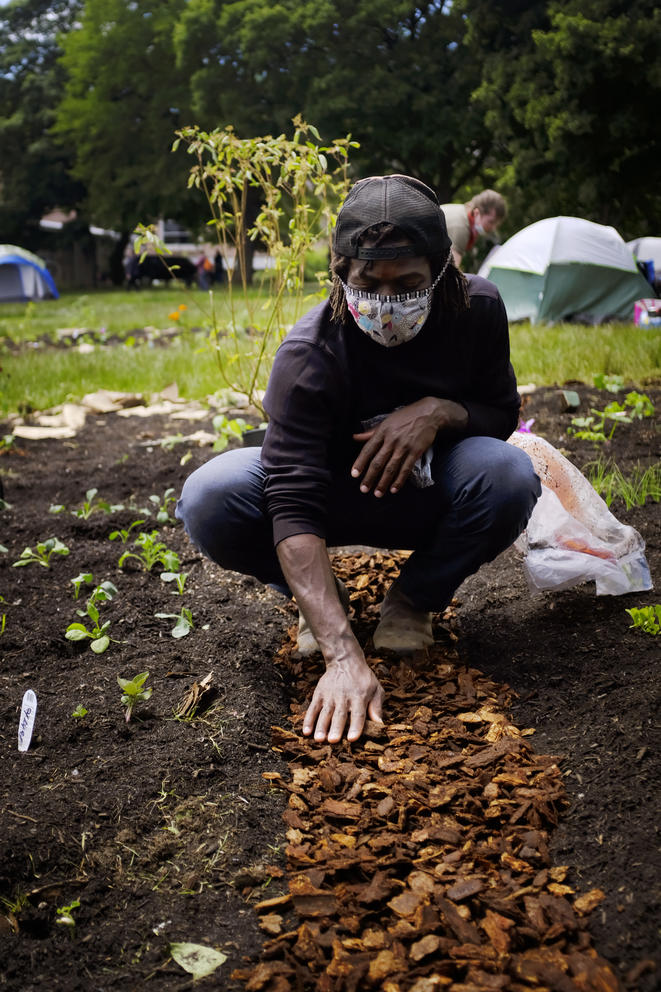 Marcus Henderson works in the community garden on Thurs. June 11, 2020 at the Capitol Hill Autonomous Zone (CHAZ) in Seattle, Wash. The area surrounding Cal Anderson Park in the Capitol Hill neighborhood has been claimed by protestors and now includes art instillations, a co-op, medical tent, and library. (Sarah Hoffman/Crosscut)
