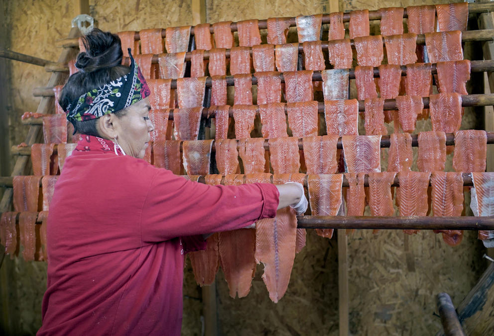 A woman sets filets of salmon on a drying rack