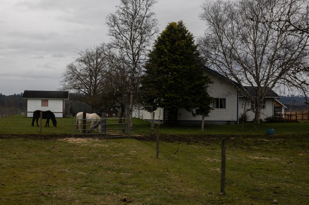 A home is shown with animals grazing on one side