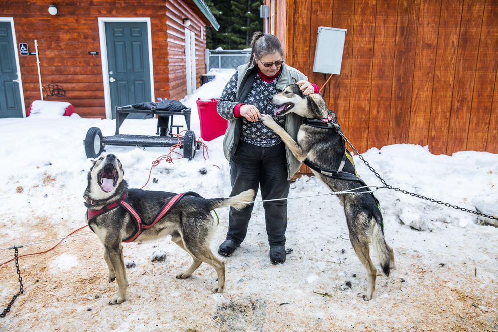 Jeanne Roxby visits with some of her sled dogs in between races during the Northwest Sled Dog Association Dogtown Winter Derby at Camp Koinonia in Cle Elum on Saturday, Jan. 12, 2019. (Photo by Dorothy Edwards/Crosscut)