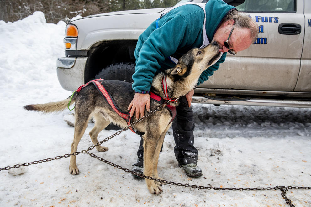 Larry Roxby kisses one of his dogs after finishing his race in the Northwest Sled Dog Association Dogtown Winter Derby at Camp Koinonia in Cle Elum on Saturday, Jan. 12, 2019. (Photo by Dorothy Edwards/Crosscut)