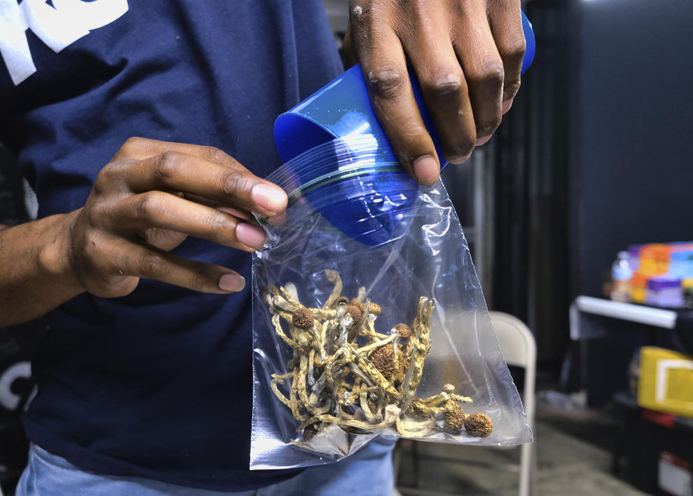 A man scoops mushrooms out of a clear baggie.