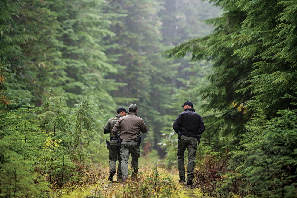 Men walking through a forest