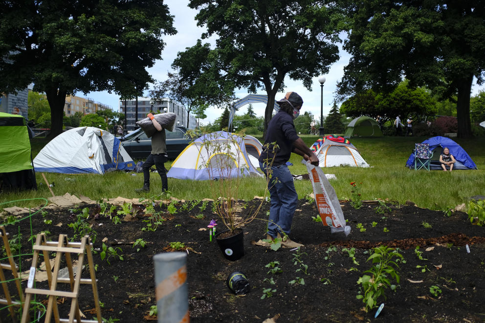 The community garden in the Capitol Hill Autonomous Zone (CHAZ) on Thurs. June 11, 2020 in Seattle, Wash. The area surrounding Cal Anderson Park in the Capitol Hill neighborhood has been claimed by protestors and now includes art instillations, a co-op, medical tent, and library. (Sarah Hoffman/Crosscut)