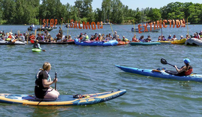 People on paddle boards and inflated boats protested on the water. Some hold up a sign on a net reading "STOP SALMON EXTINCTION."