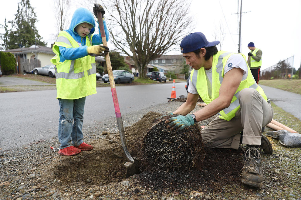a child in a blue sweater and yellow safety vest holds a shovel next to a newly dug hole beside a street, beside a young man in a cap and yellow safety best untangles the roots of a tree that will be planted in the hole.