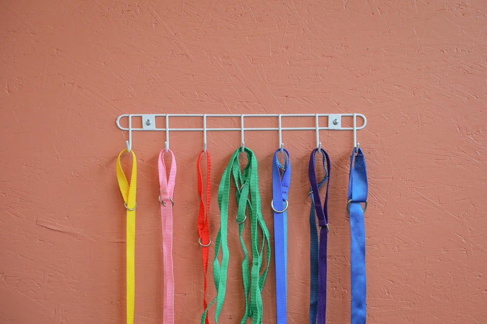 a close up of 7 leashes each a different color hang against a tan wall