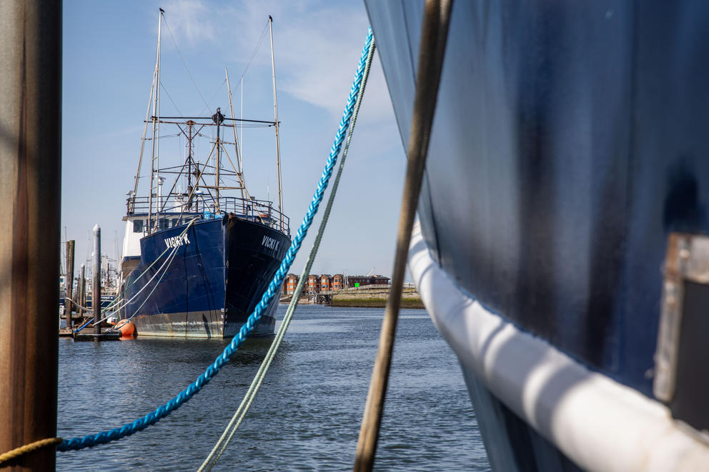 A navy blue fishing vessel floats in Westport Marina
