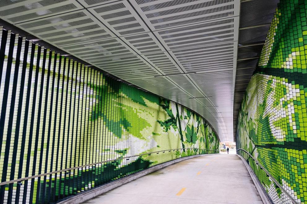 photo of a covered concrete walkway with foresty green panels on either side