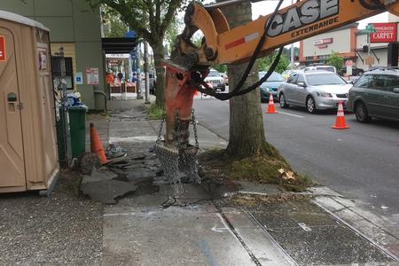 Work on a sidewalk where tree roots had caused trouble