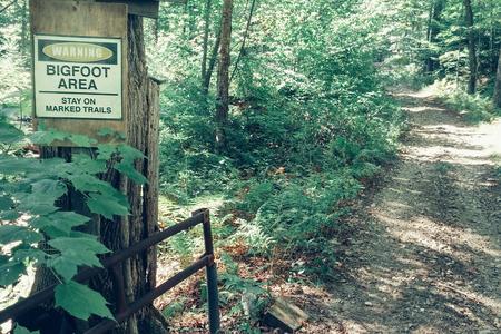 Forest trail with Bigfoot warning sign