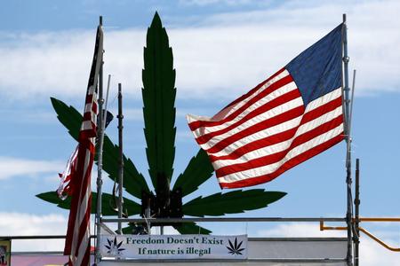 American flag with weed plant