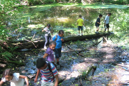 pond-day-multiple-kids