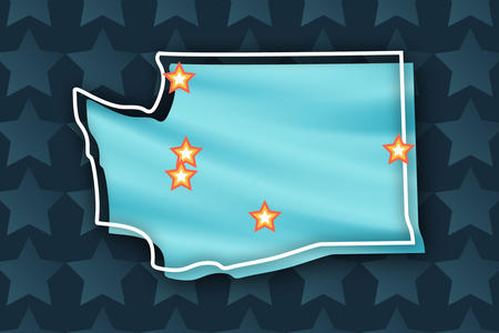 Washington state voter guide