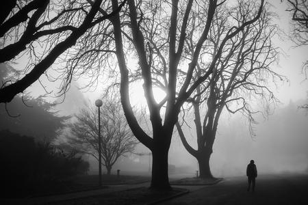 black and white photo of trees in fog with a mysterious figure at lower right