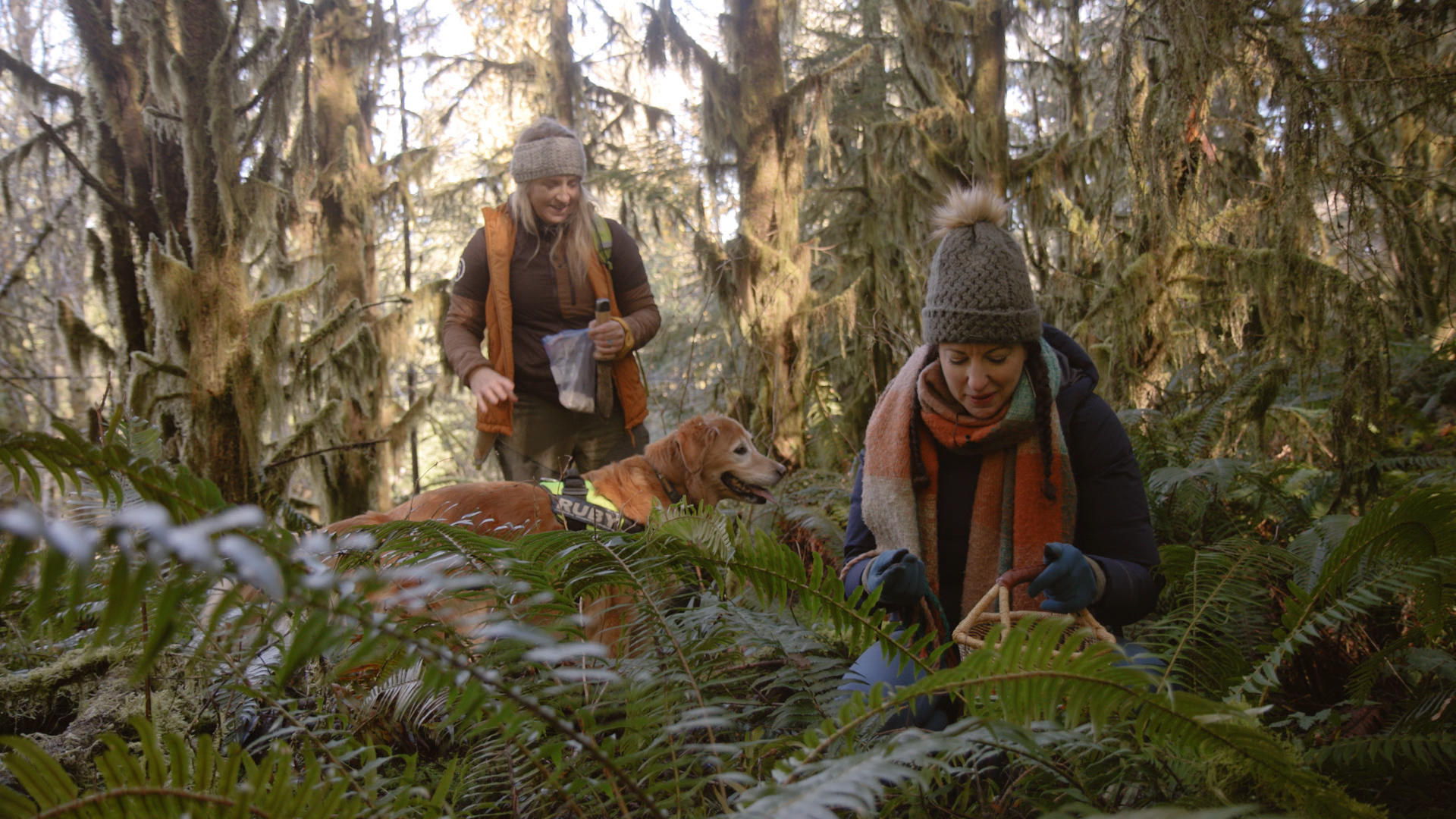 Host Rachel Belle digs up truffles in a mossy forest while her guest Alana McGee guides her along with her golden retriever, Ruby
