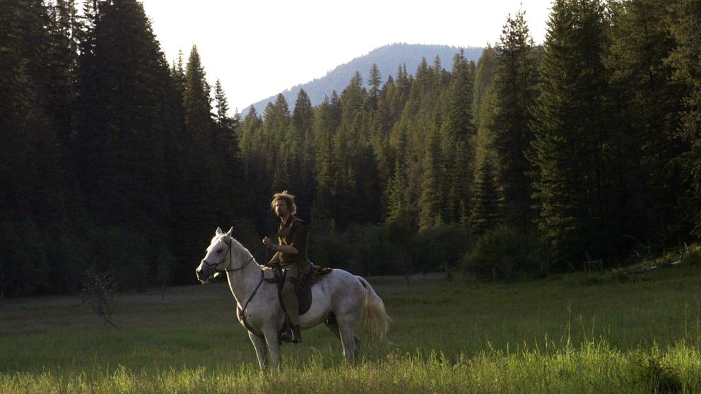 A person sits on a horse in a field surrounded by trees and a mountain
