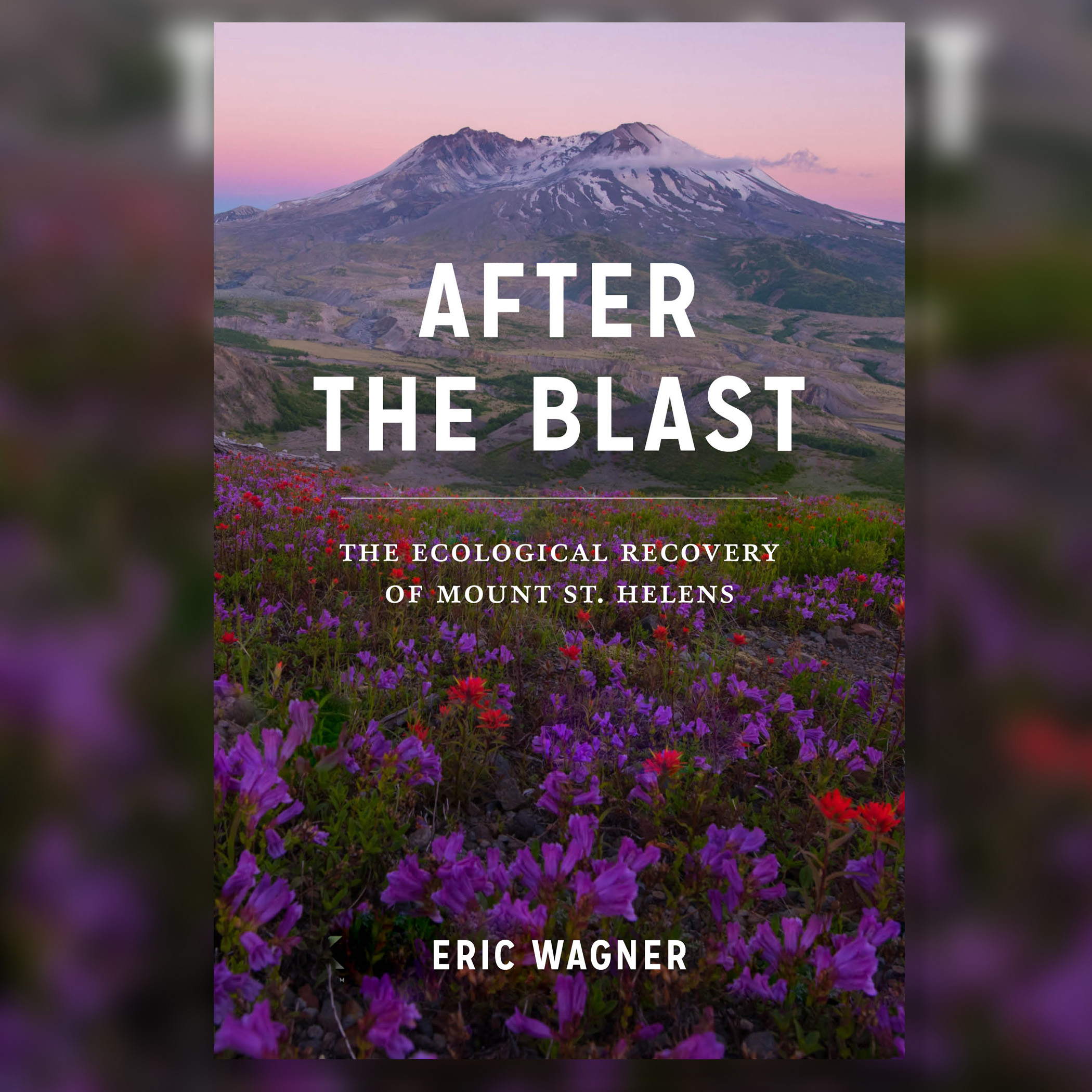after the blast book cover