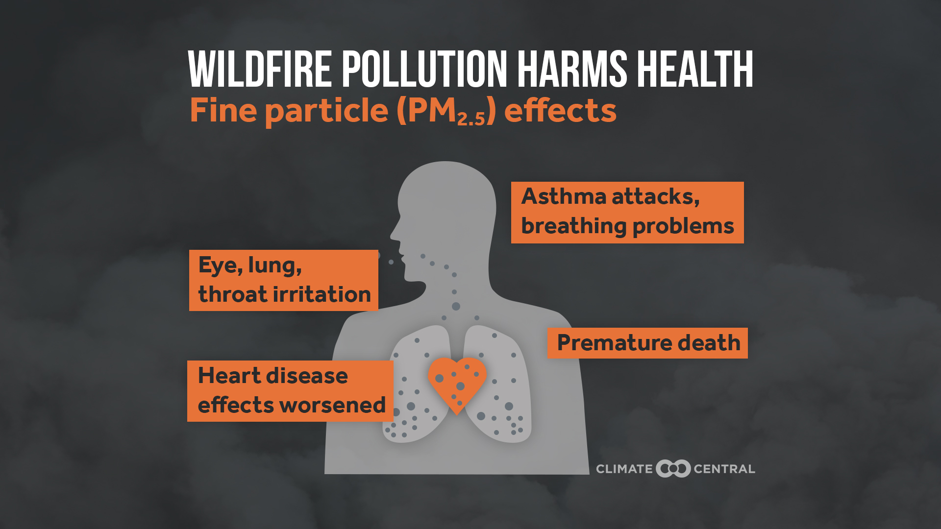 Graph showing effects of wildfire smoke