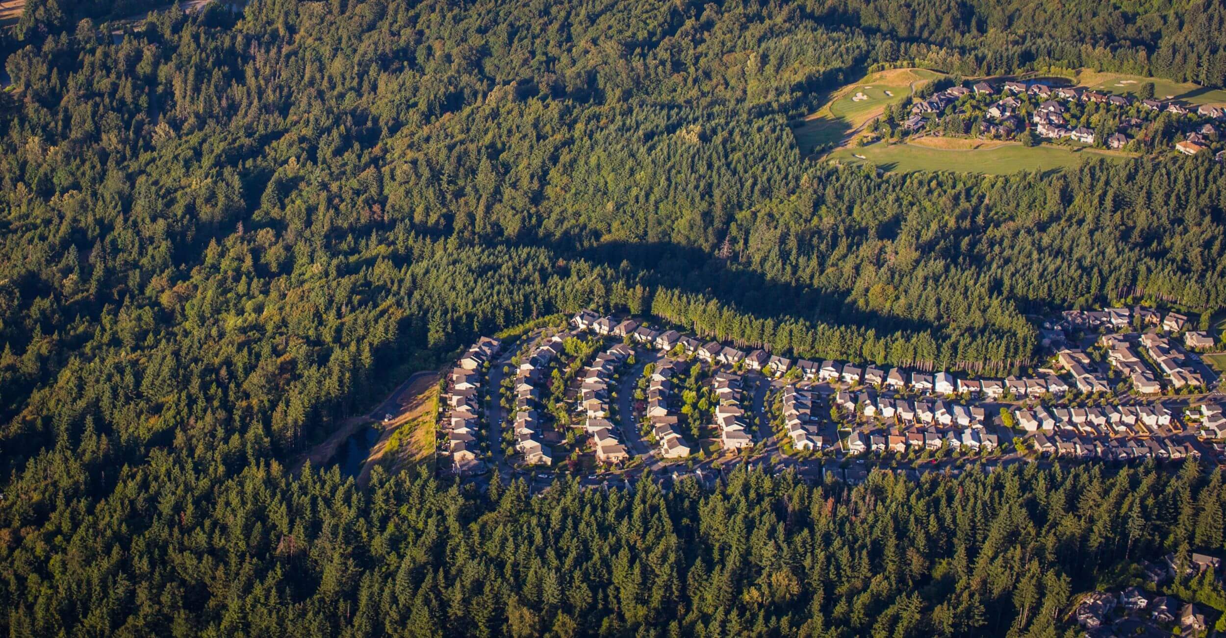 Subdivision surrounded by trees