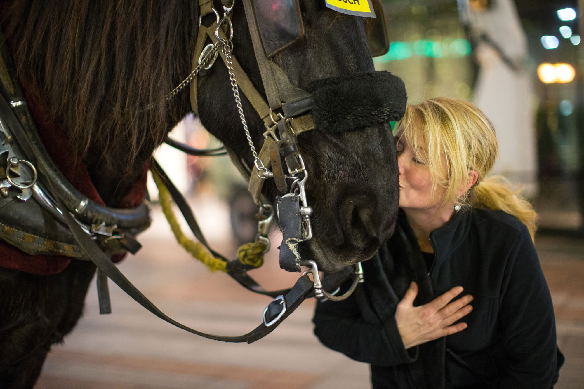 Tanya Therrien of White Rock, British Columbia gives Amos a kiss outside Westlake Center in Seattle. “I’m so in love with him,” Therrien says. ”I want to take him home.” © Karen Ducey for Crosscut