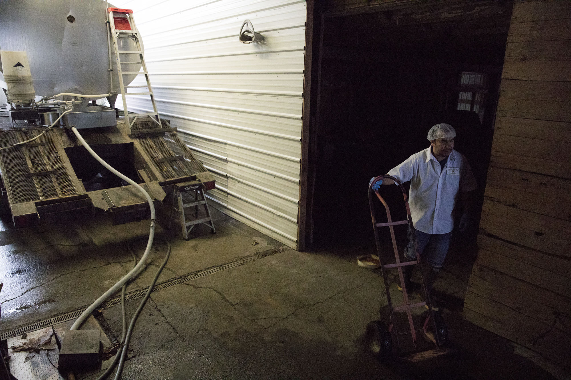 Rigoberto Herrera-Avalos, an employee of Twin Brooks Creamery near Lynden, Washington, leaves the barn where milk is being filled into a truck and other bottles are being prepared for shipment across the Pacific Northwest.  