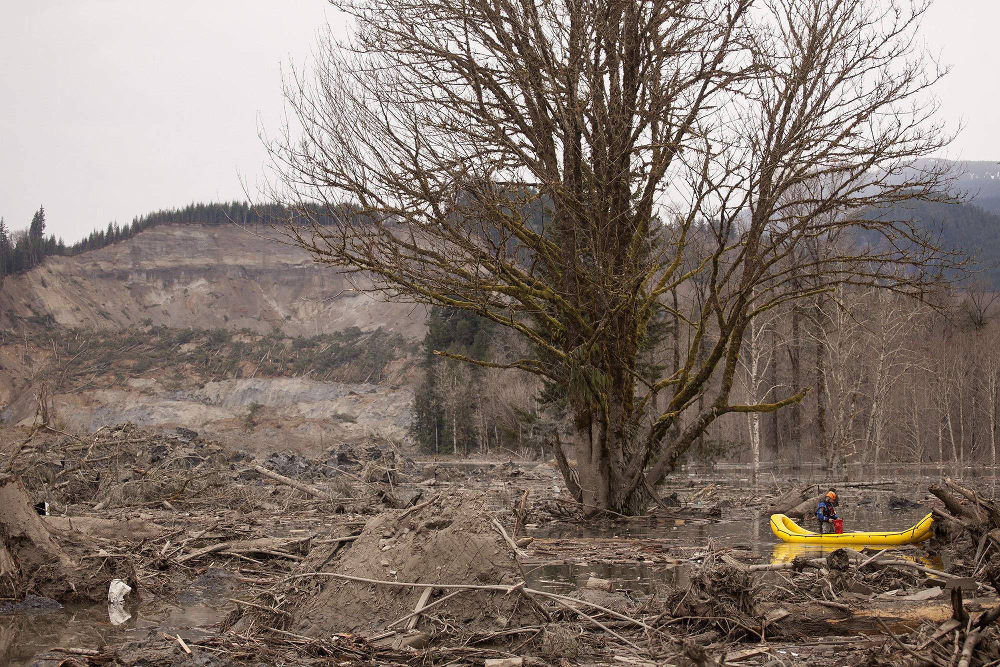 A man in a search-and-rescue boat floats through the debris field after a deadly mudslide near Oso, Washington, on March 25, 2014.