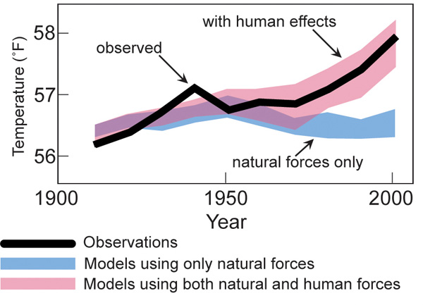 models-observed-human-natural-large