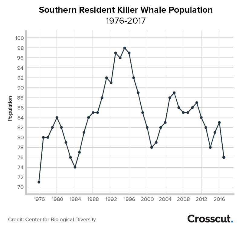 orca srkw-population