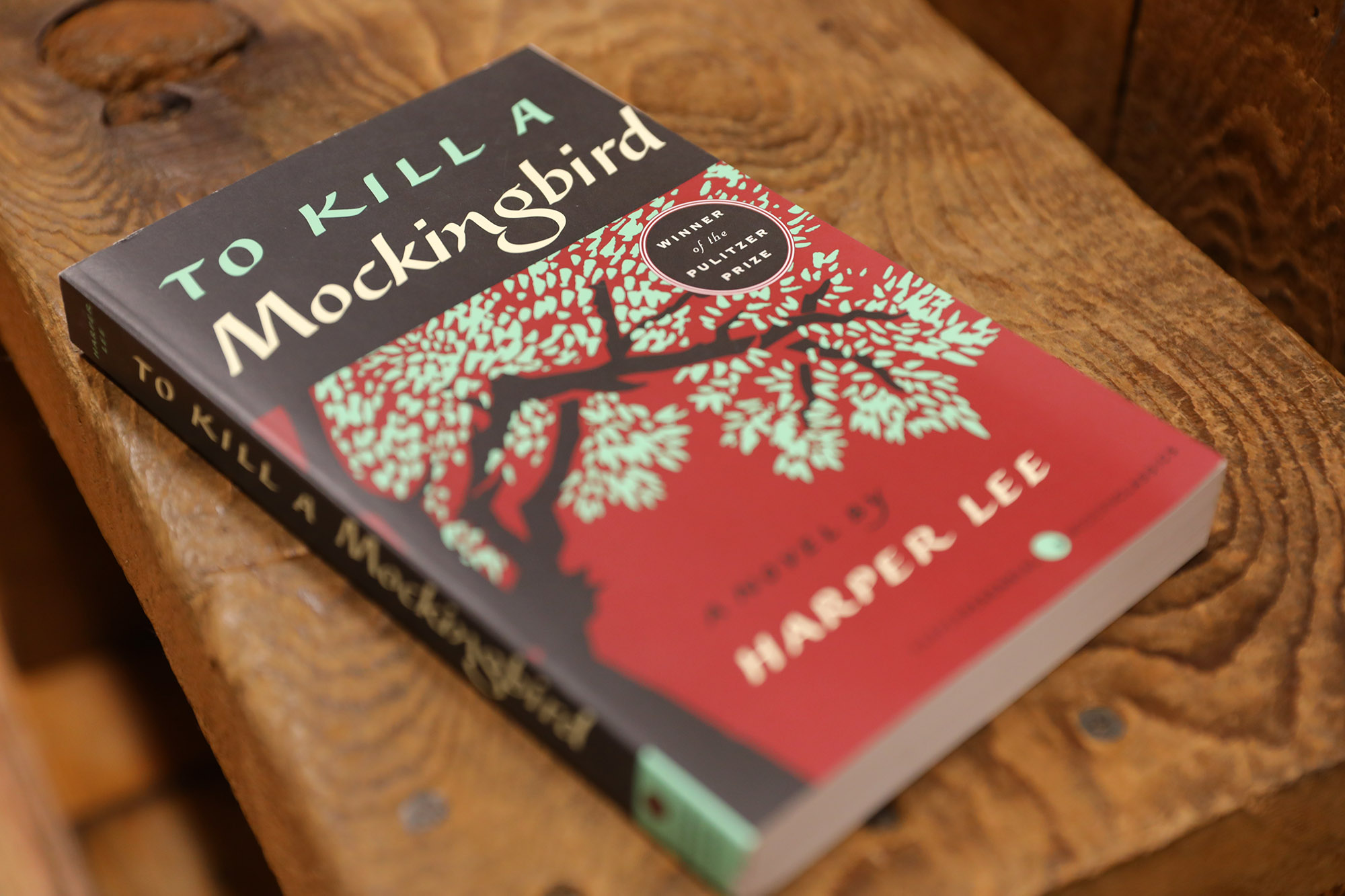 to kill a mockingbird free book