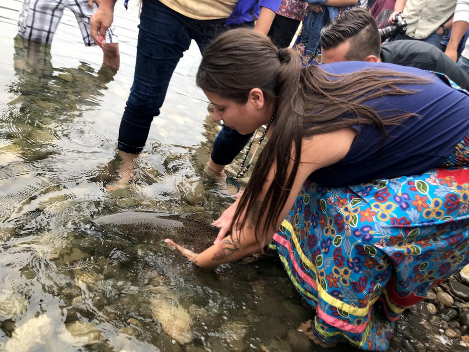 Colville Tribal member Crystal Conant releases a salmon into the upper Columbia River.
