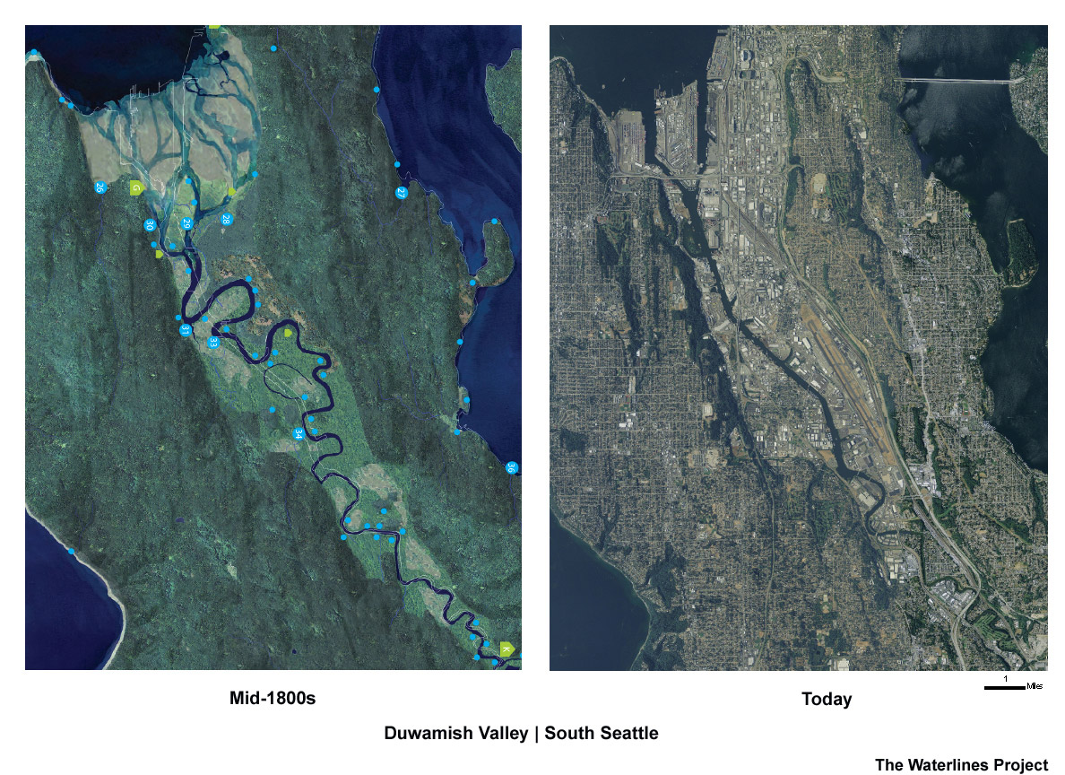 The course of the Duwamish River through South Seattle in the mid-1800s compared with today, as visualized by The Waterlines Project for The Burke Museum.