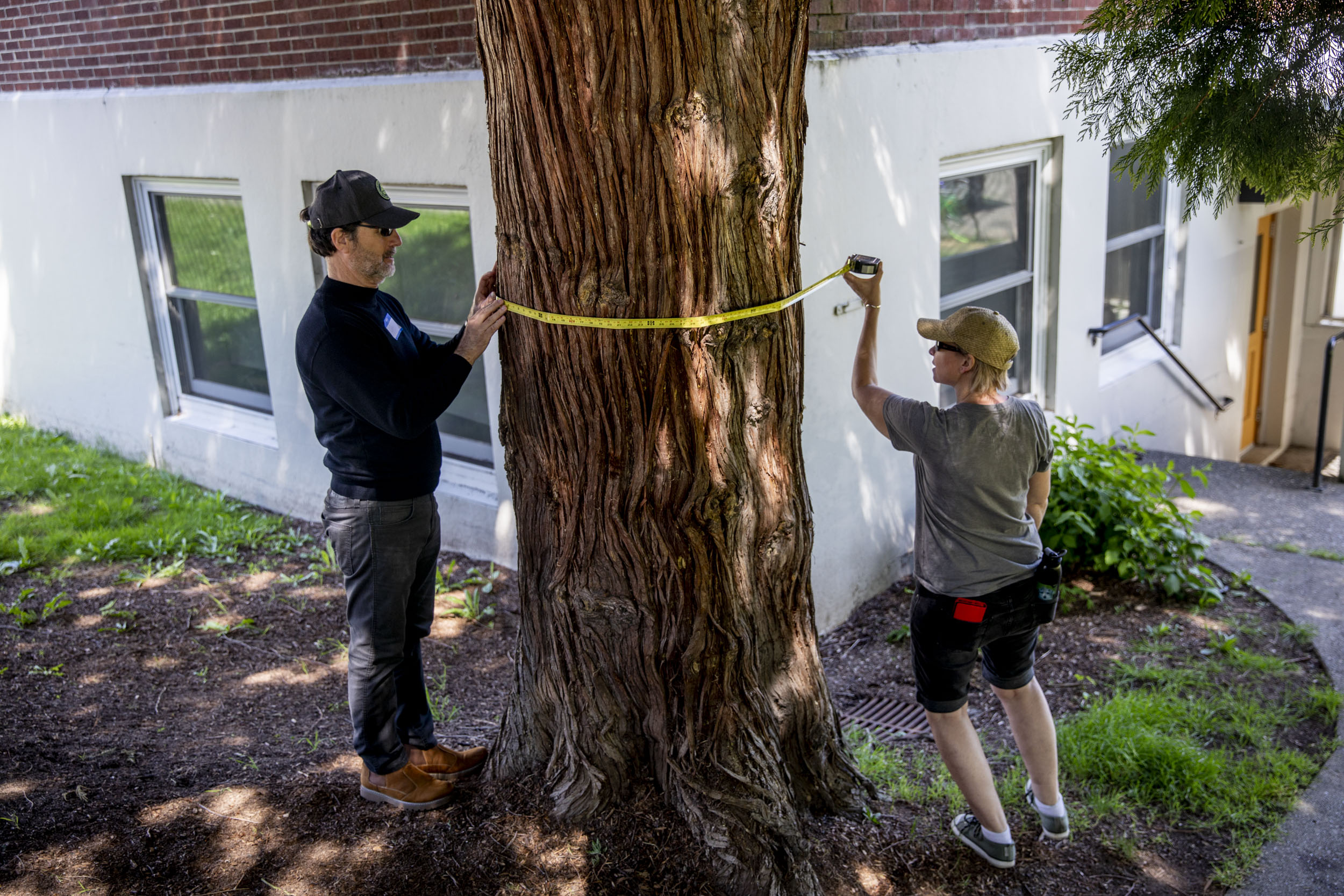 Volunteers Jim Davis, left, and Andrea Wount, both of Seattle, measure the trunk of a tree at Magnuson Park in Seattle on May 19, 2019. "Our trees have so much power, they need a voice," Davis says. "We can help." (Photo by Dorothy Edwards/Crosscut)