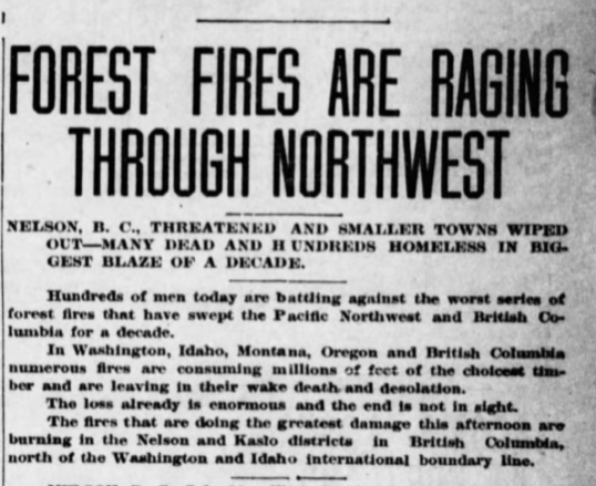 Newspaper clipping from 1910 with headline "Forest fires are raging through Northwest"
