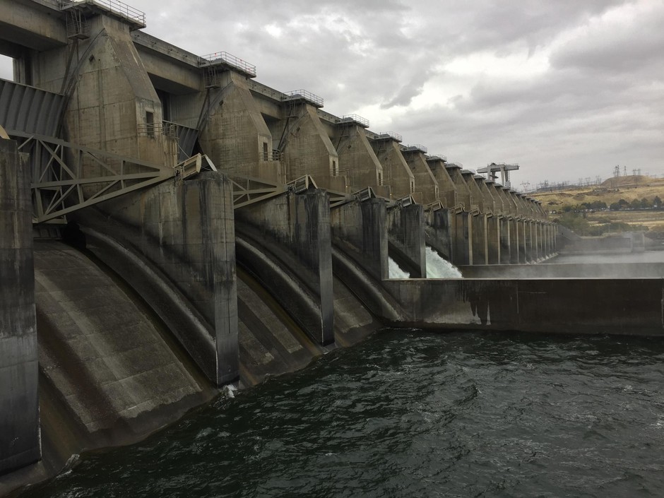 Sean Milligan with the U.S. Army Corps of Engineers throws confetti into the pool in the Little Goose Dam model, which is 55 times smaller than the real dam on the Snake River in Washington.