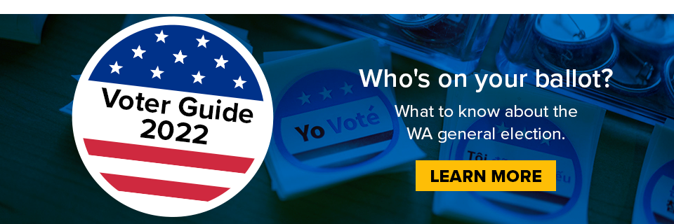 Voter Guide Washington State 2022