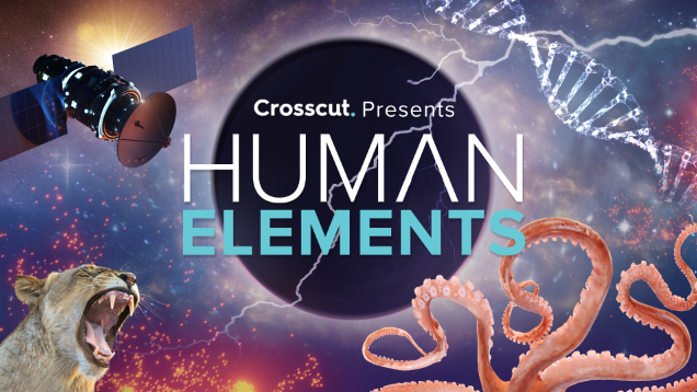 human elements poster
