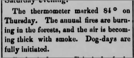 A newspaper clipping detailing the impacts of smoke in 1876