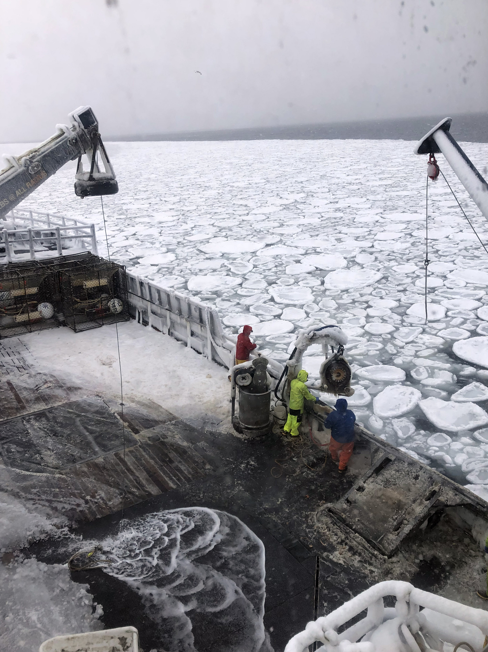 Ship crew on a boat that is surrounded by sea ice