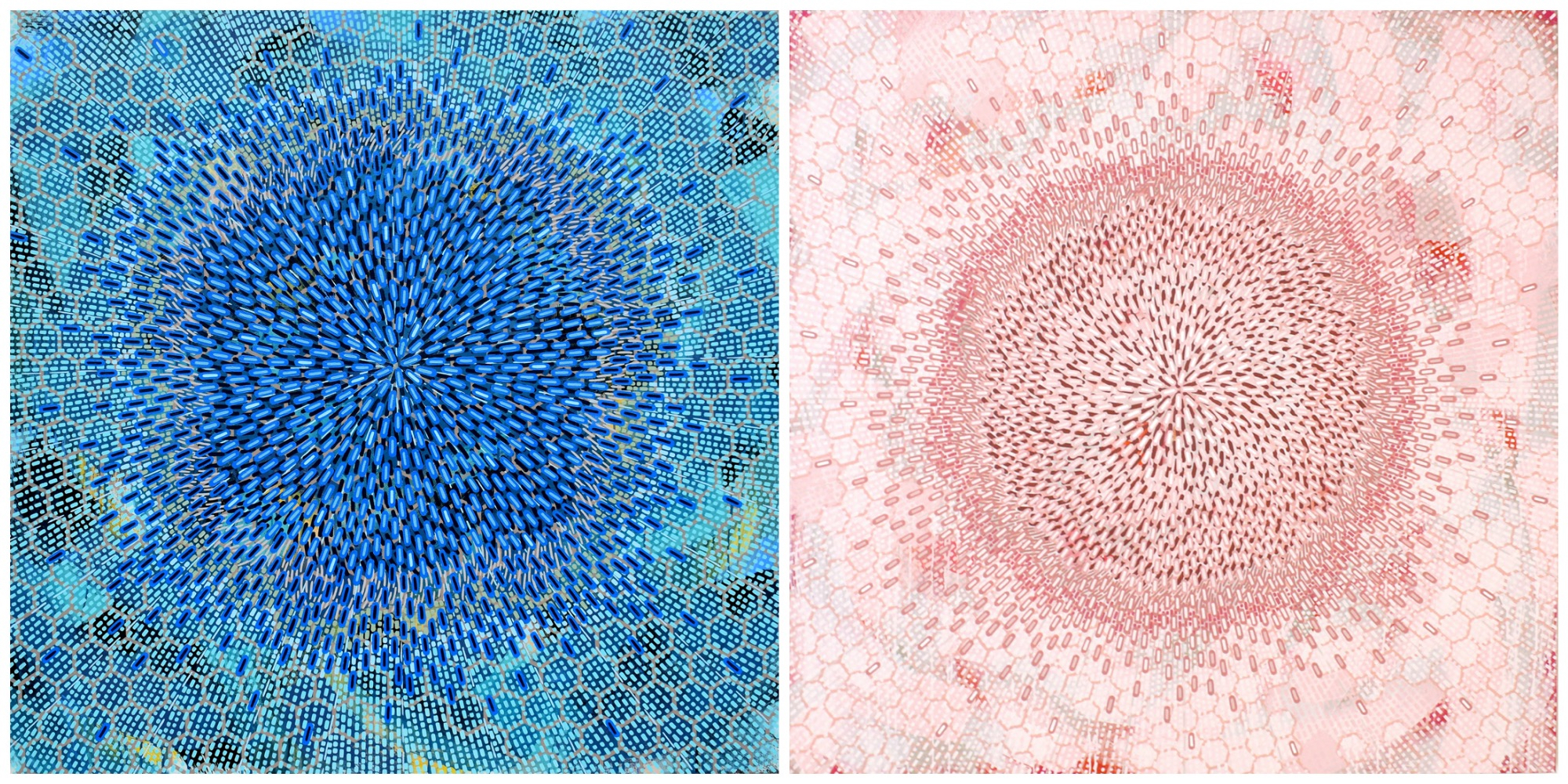 two paintings of brightly colored flower-like dashes
