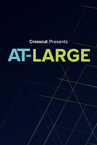 poster for at-large