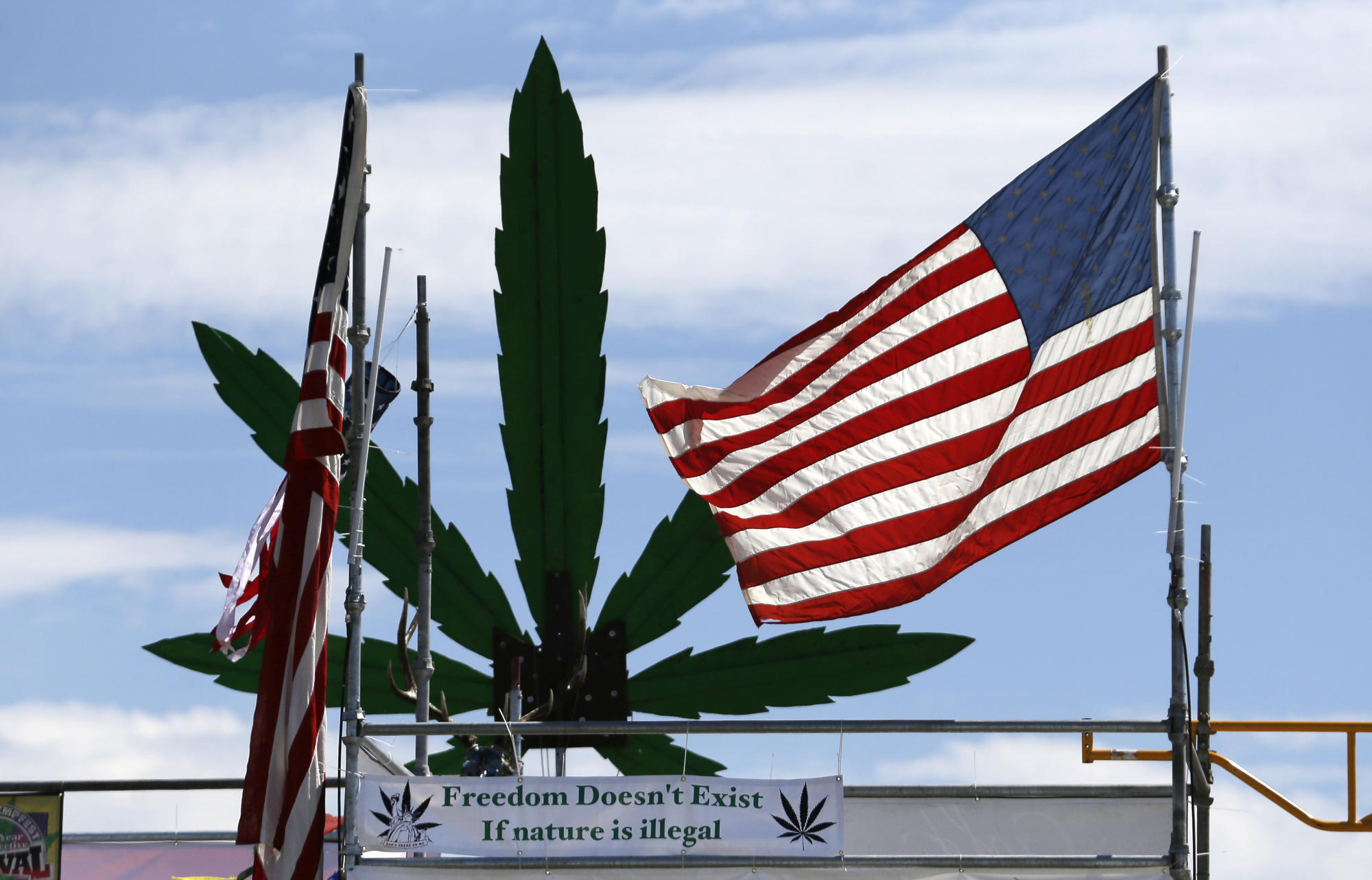 American flag and pot plant