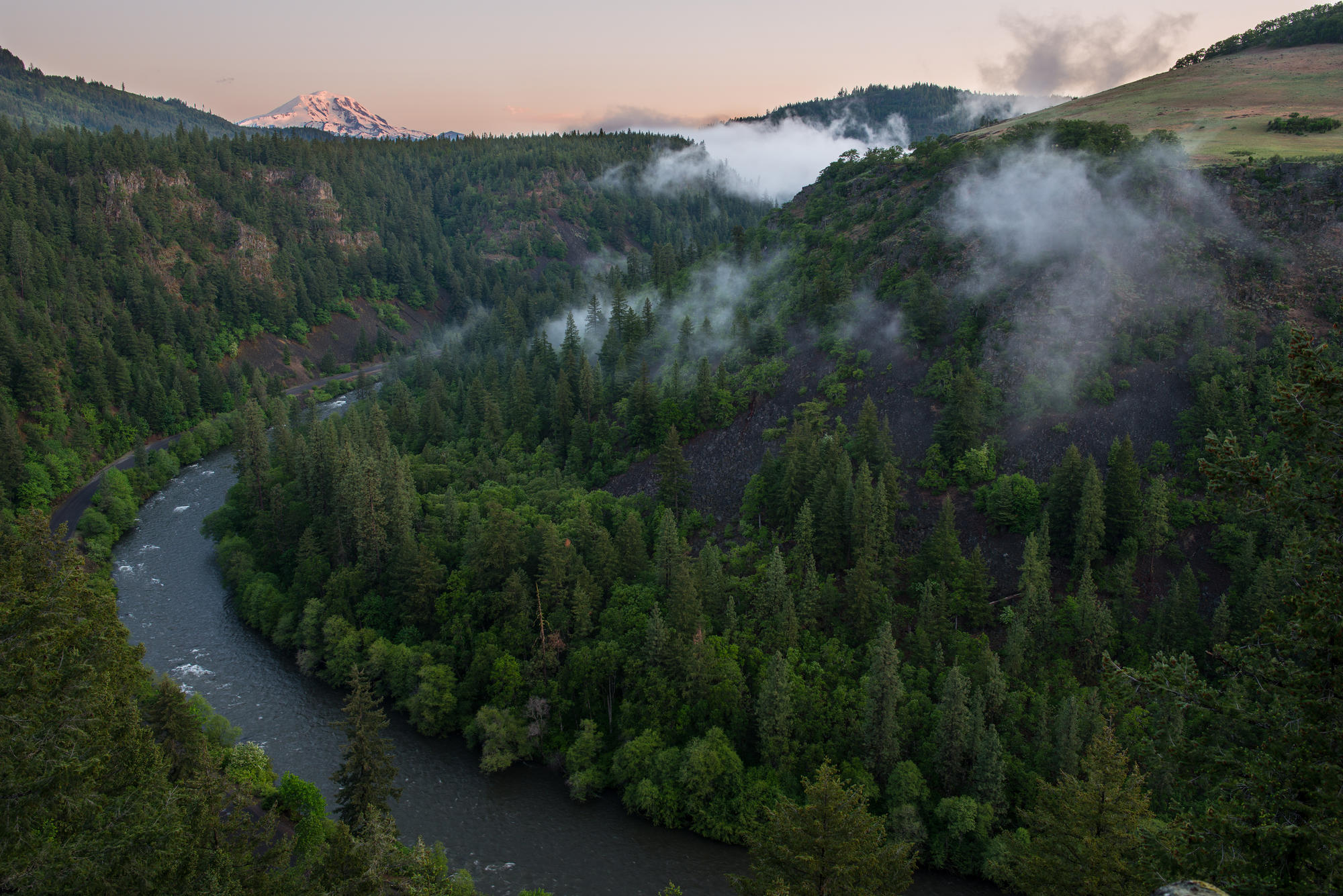 Klickitat River winds through a forested canyon, with Mt. Adams beyond.