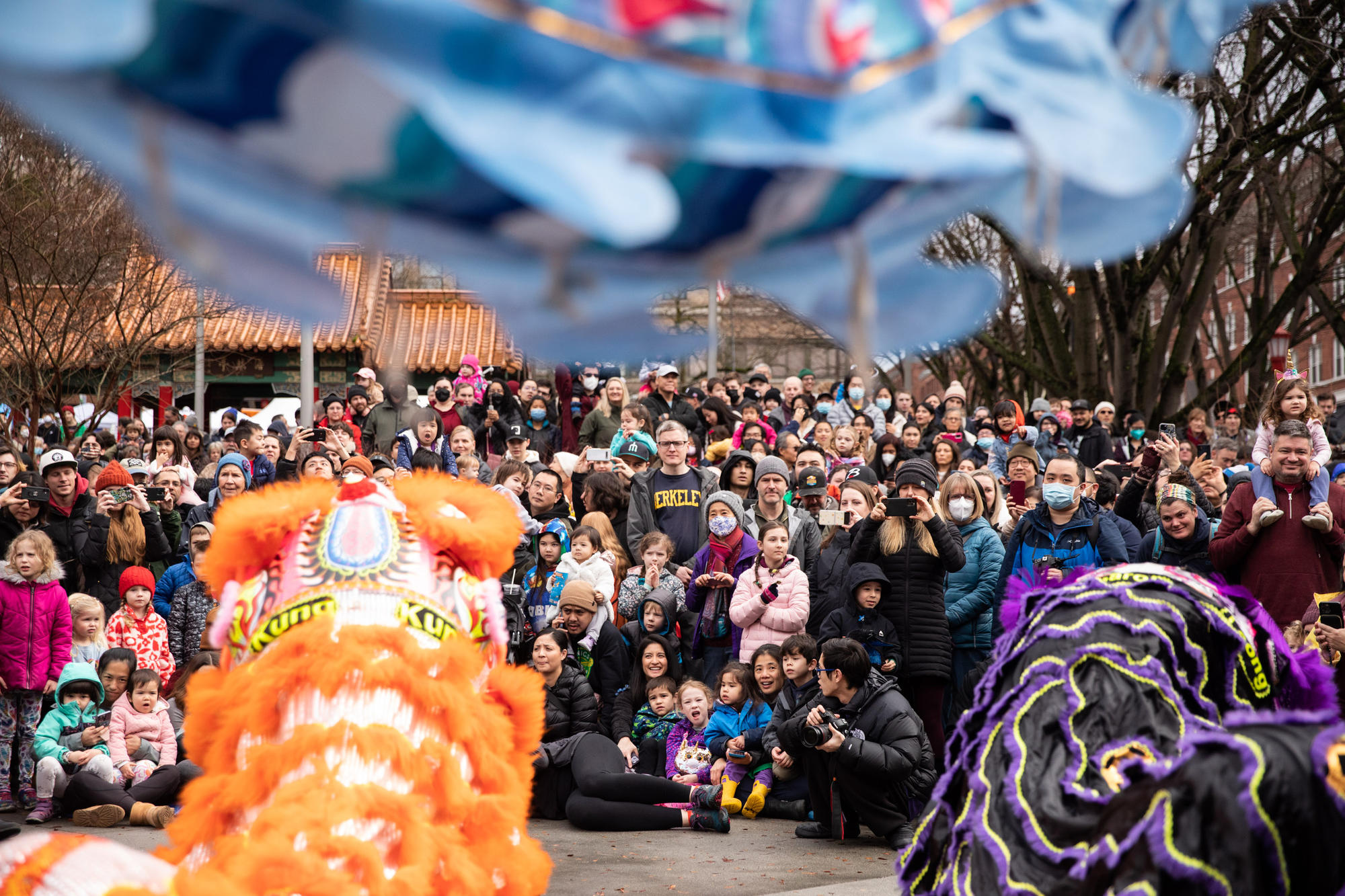 A crowd of people watches as three Lunar New Year lions perform