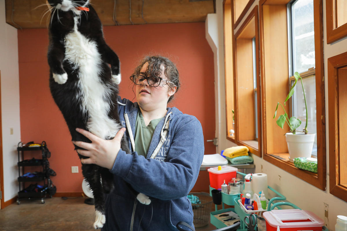 a vet tech holds a long black and white cat in an examination room