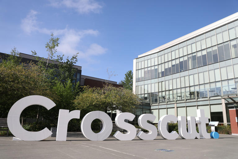 letters that spell out crosscut outside