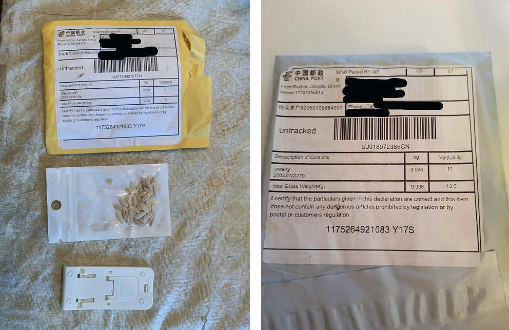 seed package from China