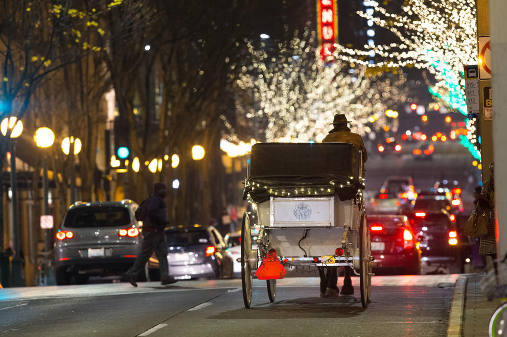 Steve Beckmann of Sealth Horse Carriage drives his horse and carriage down Fifth Avenue in Seattle. © Karen Ducey for Crosscut